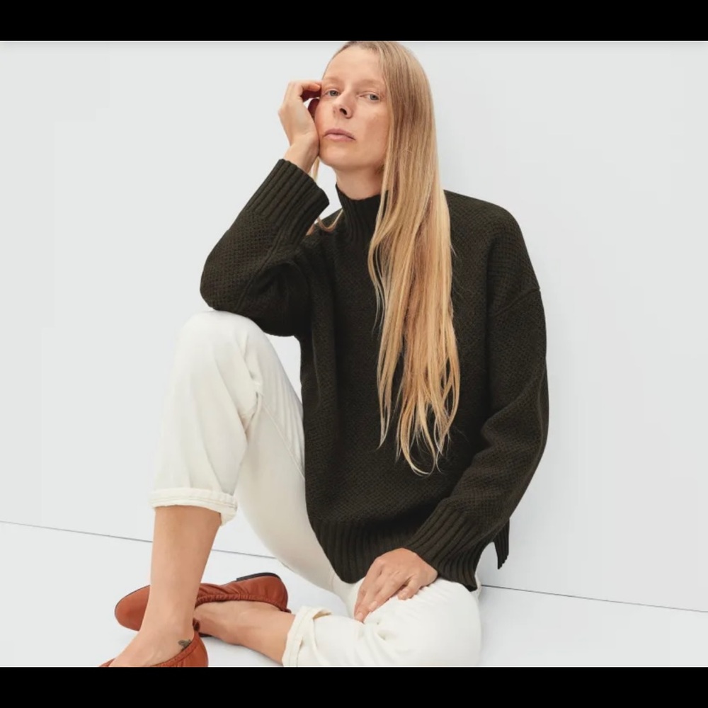 Everlane Oversized Stroopwafel ReCashmere Turtleneck